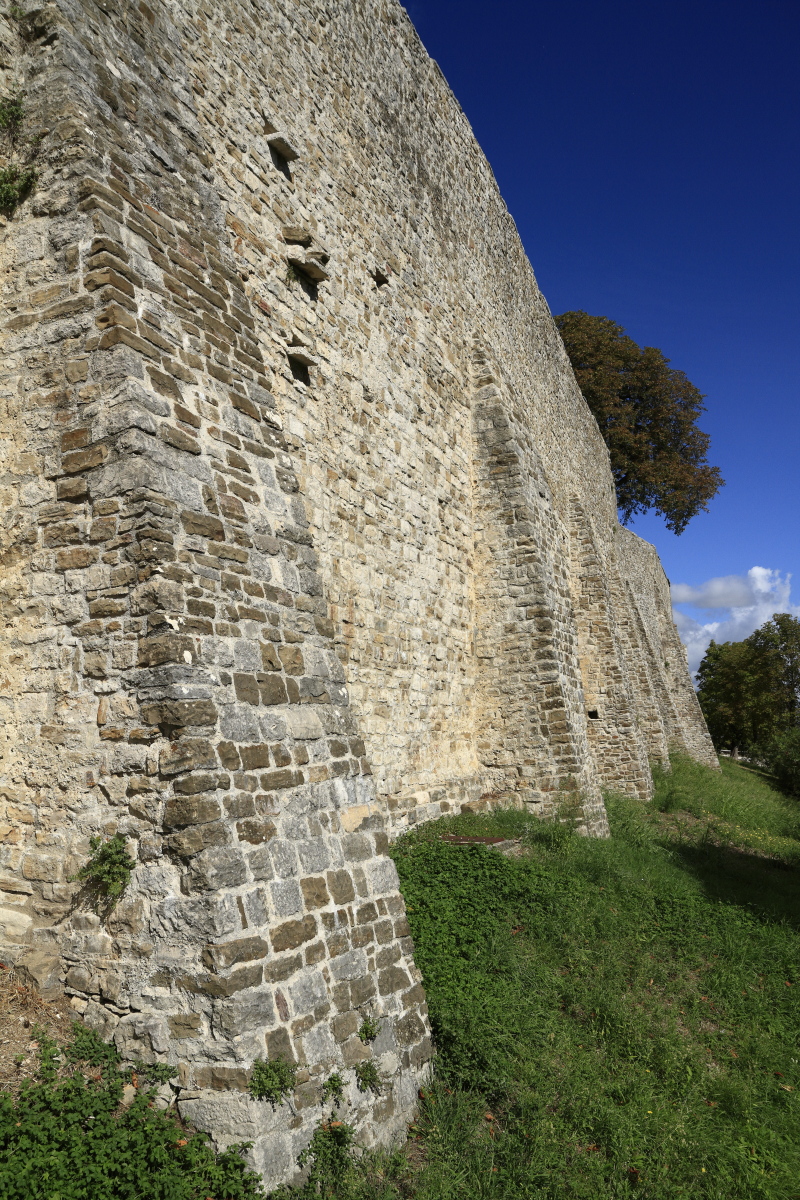 09.18 Istrien  MG 9565