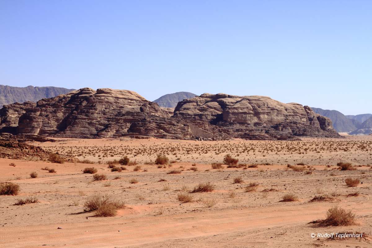 The Wadi Rum