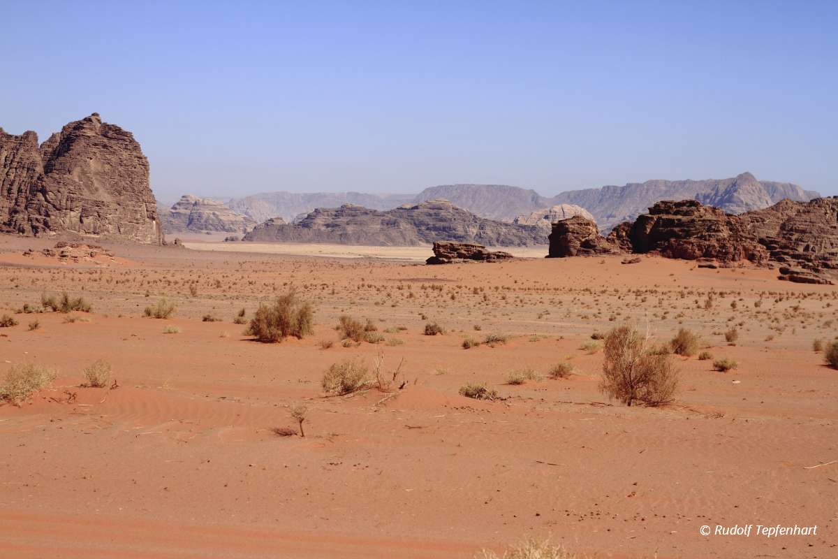The Wadi Rum