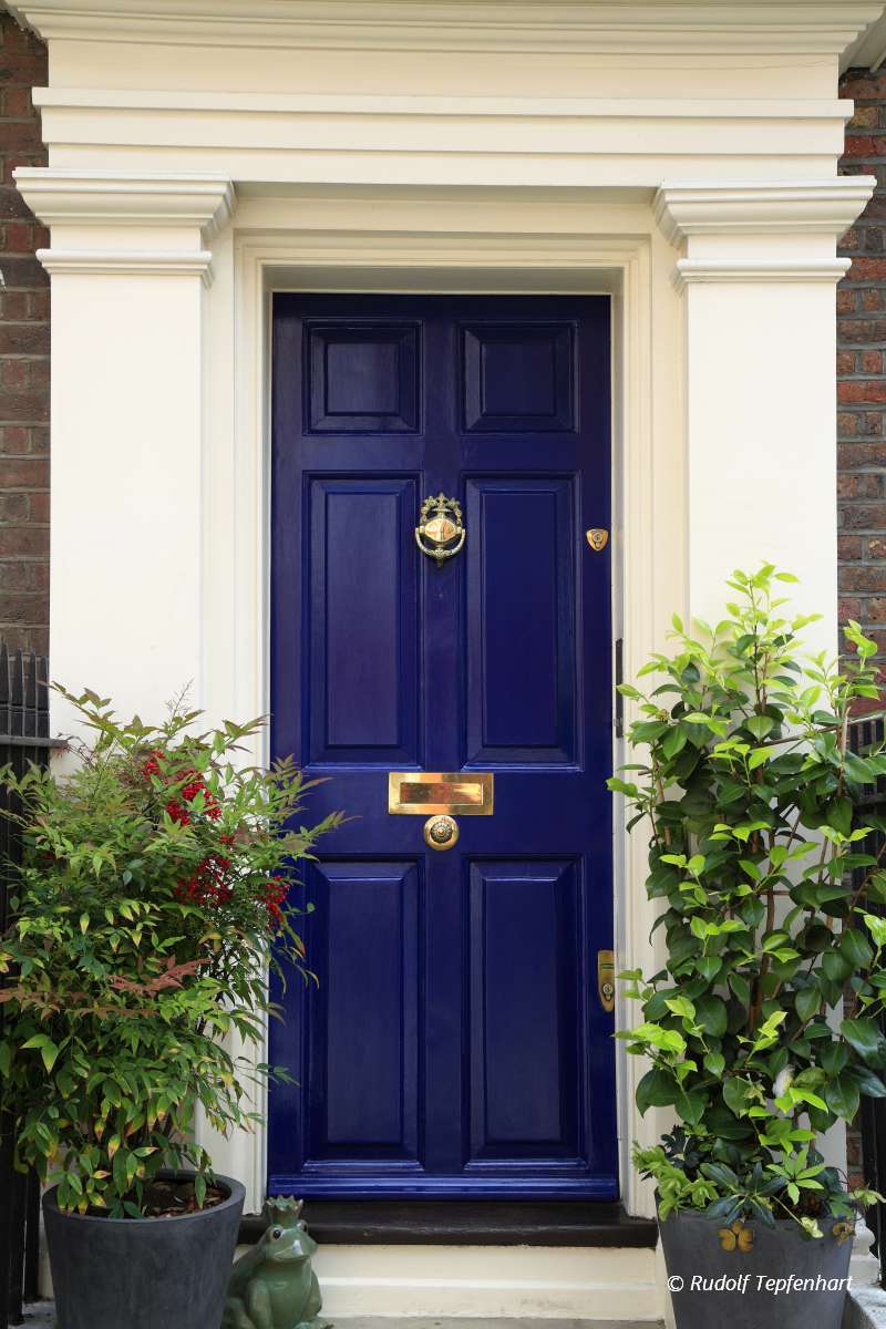 Luxury wooden door to apartment