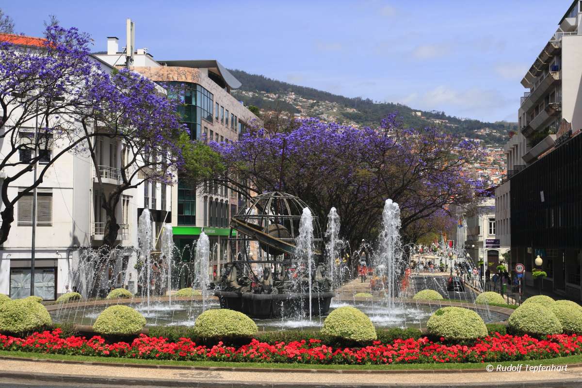 Fountain in Funchal