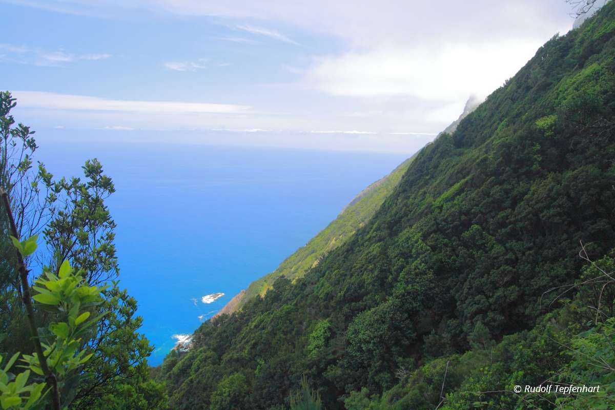 The north coast of Madeira