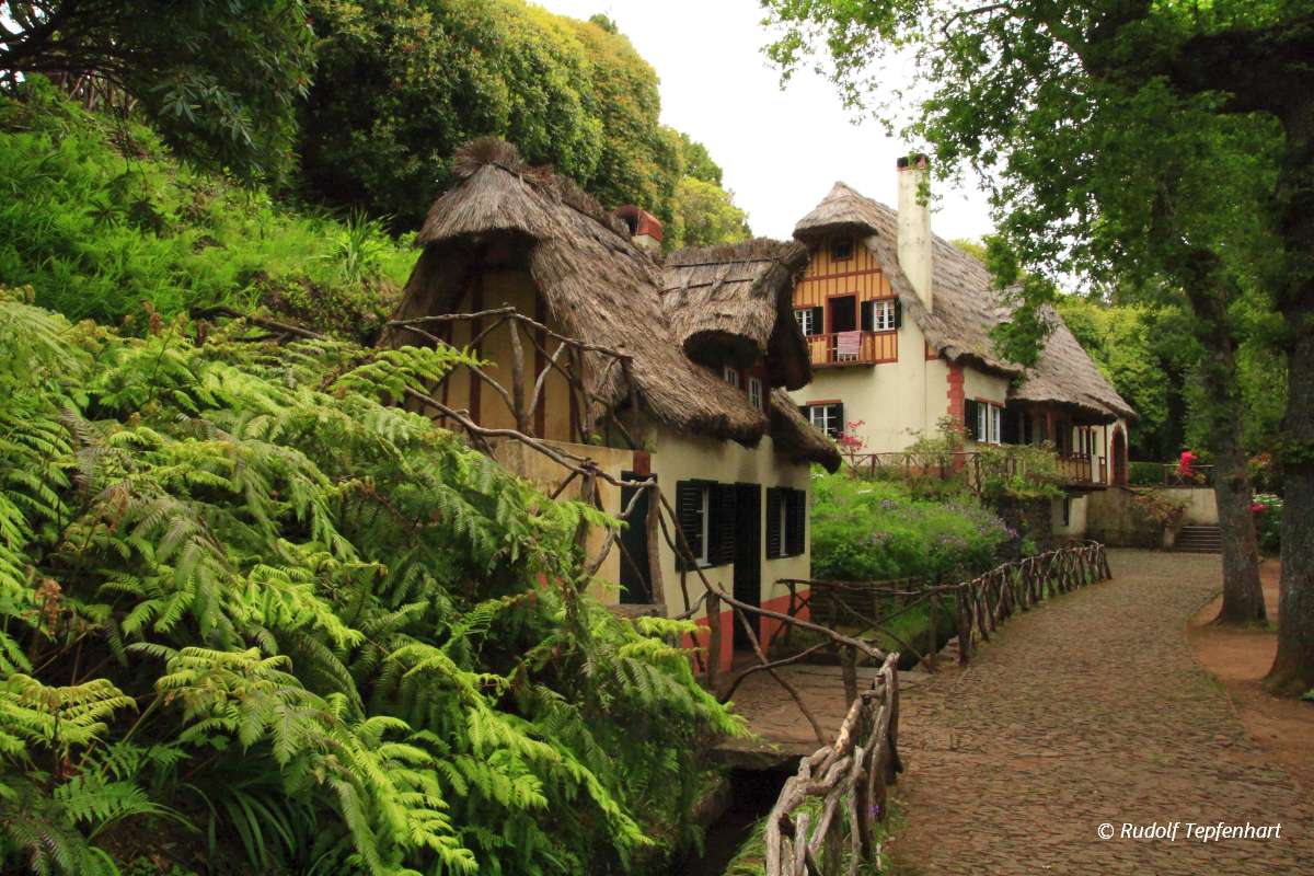 Natural Park Queimadas