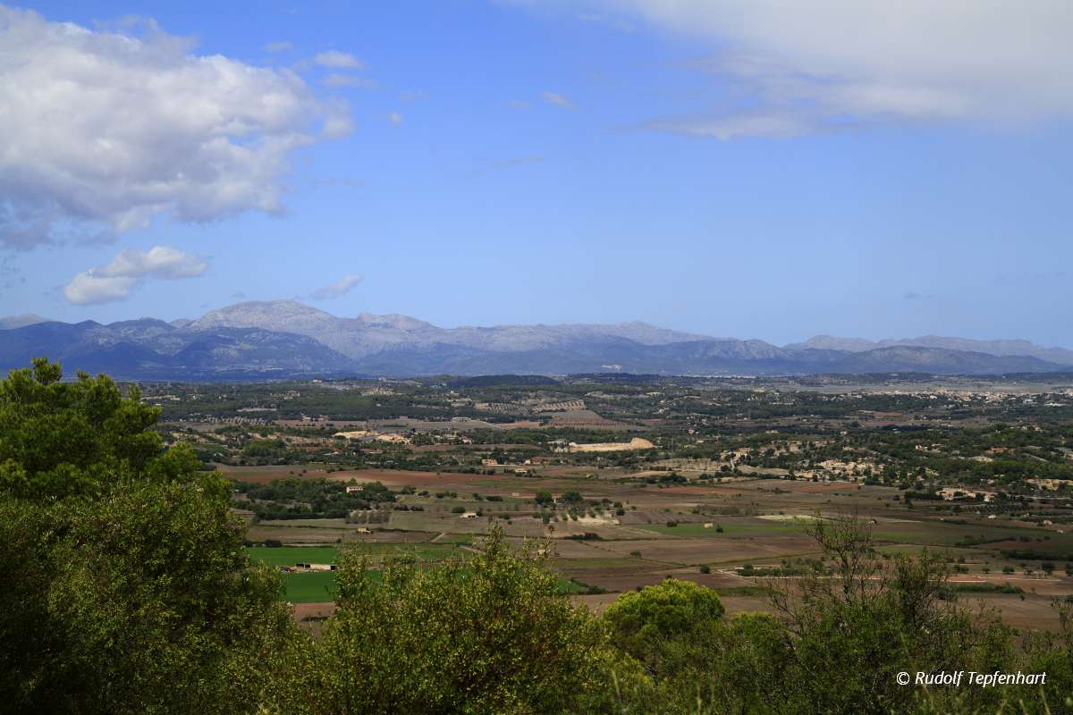 Aerial view of fields, Mallorca