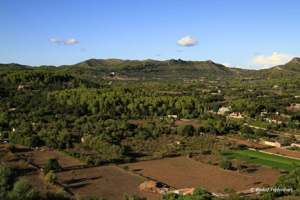 Aerial view of fields, Mallorca