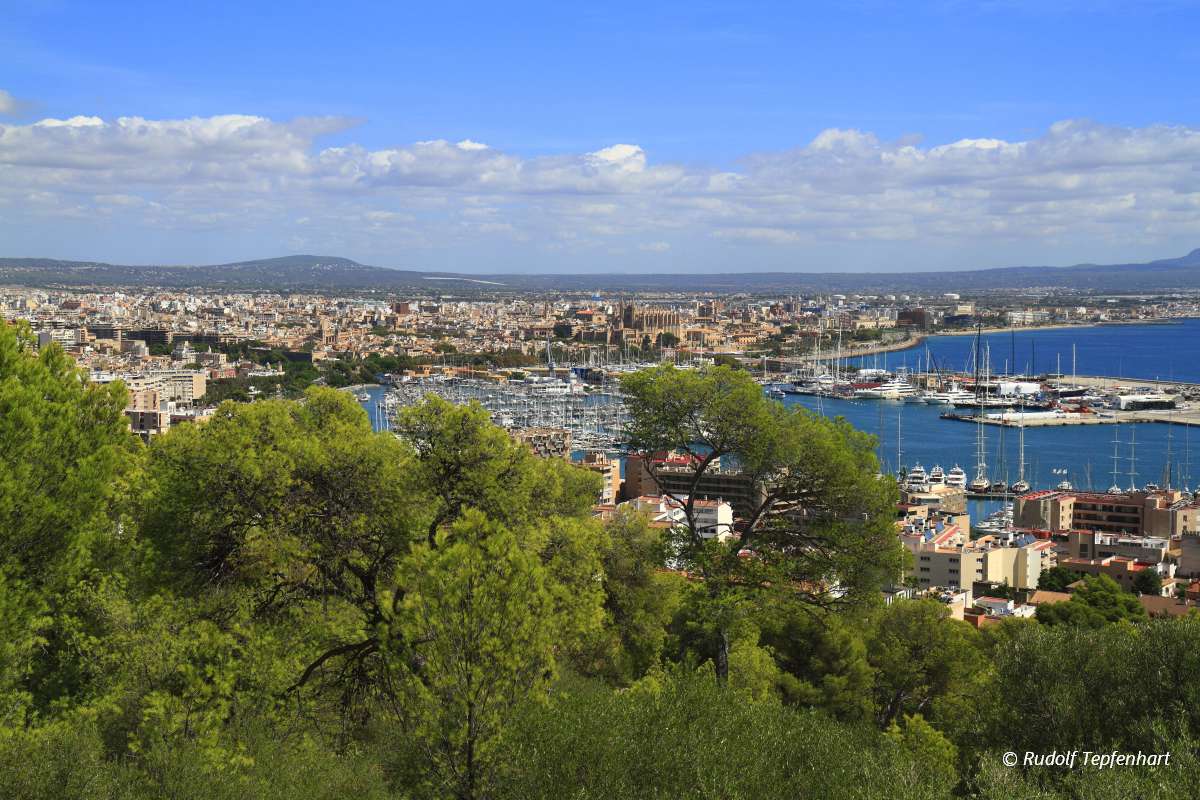 Aerial view of Palma de Mallorca in Majorca, Balearic Islands, S