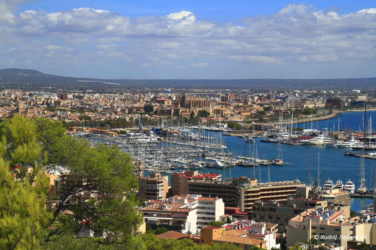 Aerial view of Palma de Mallorca in Majorca, Balearic Islands, S