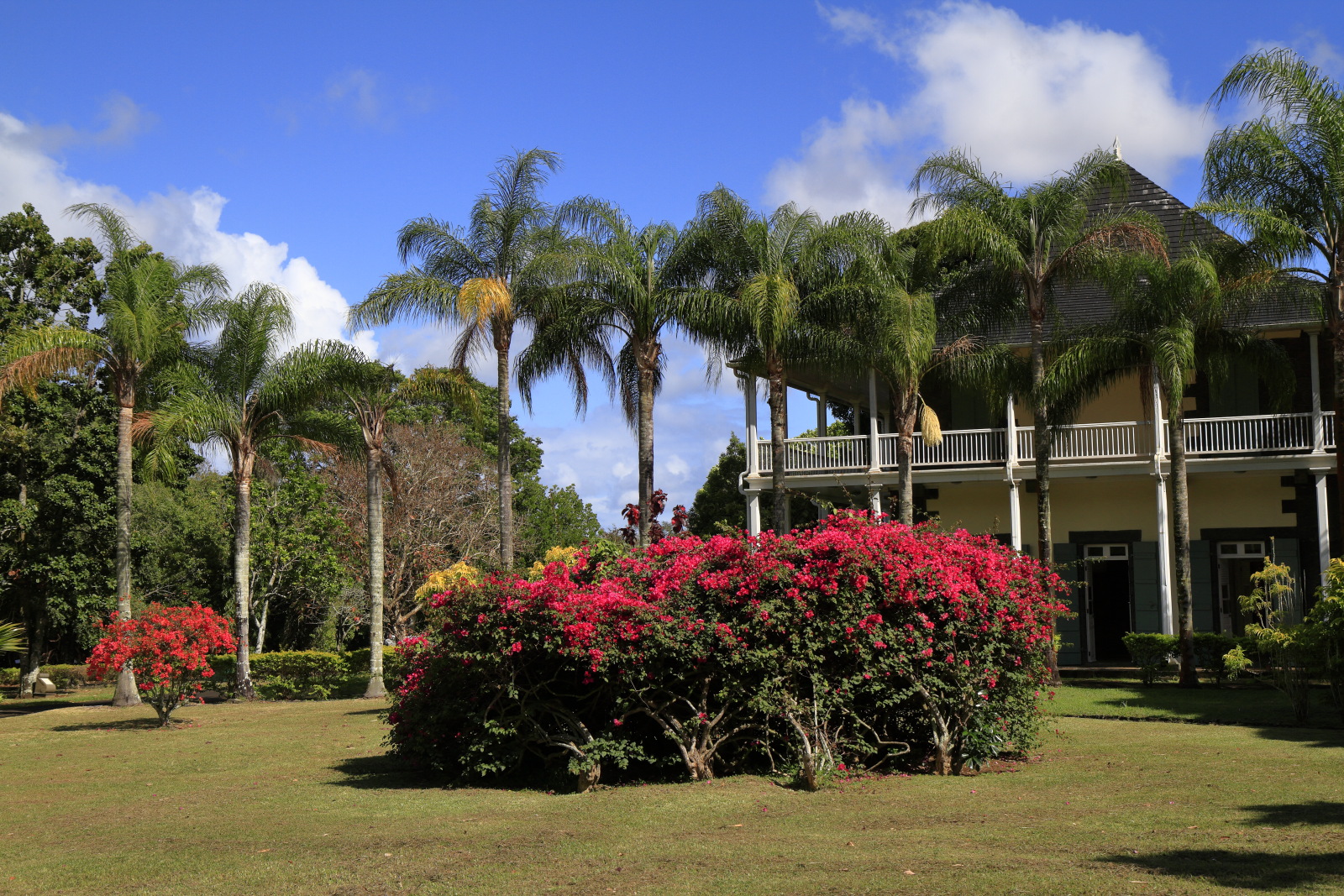 09.14 Mauritius  MG 6587