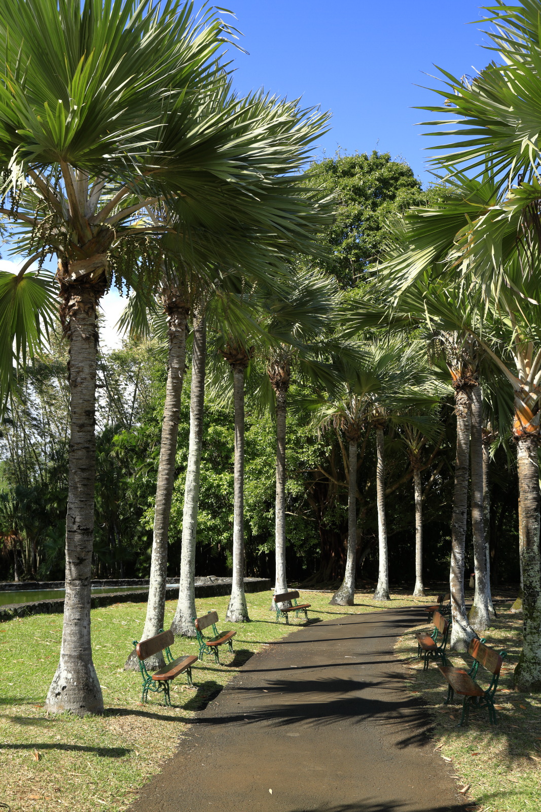 09.14 Mauritius  MG 6588