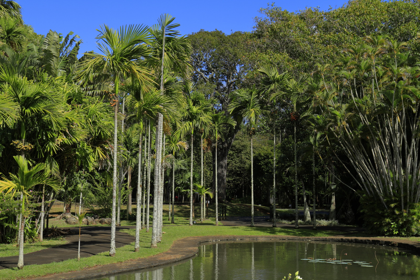 09.14 Mauritius  MG 6592