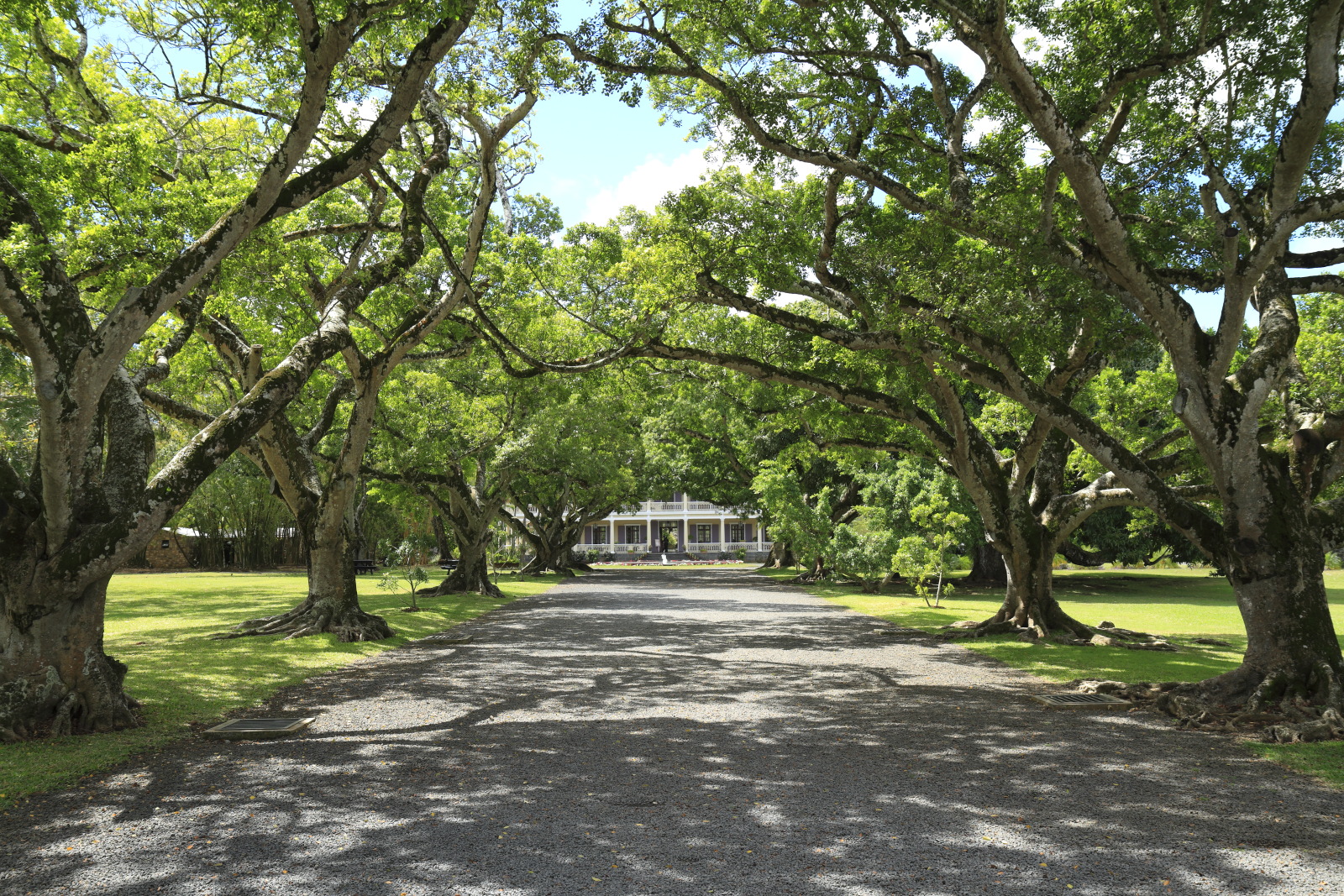 09.14 Mauritius  MG 6635