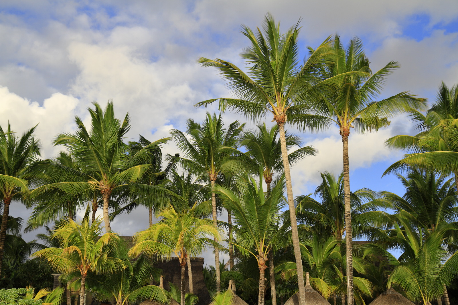 09.14 Mauritius  MG 6699