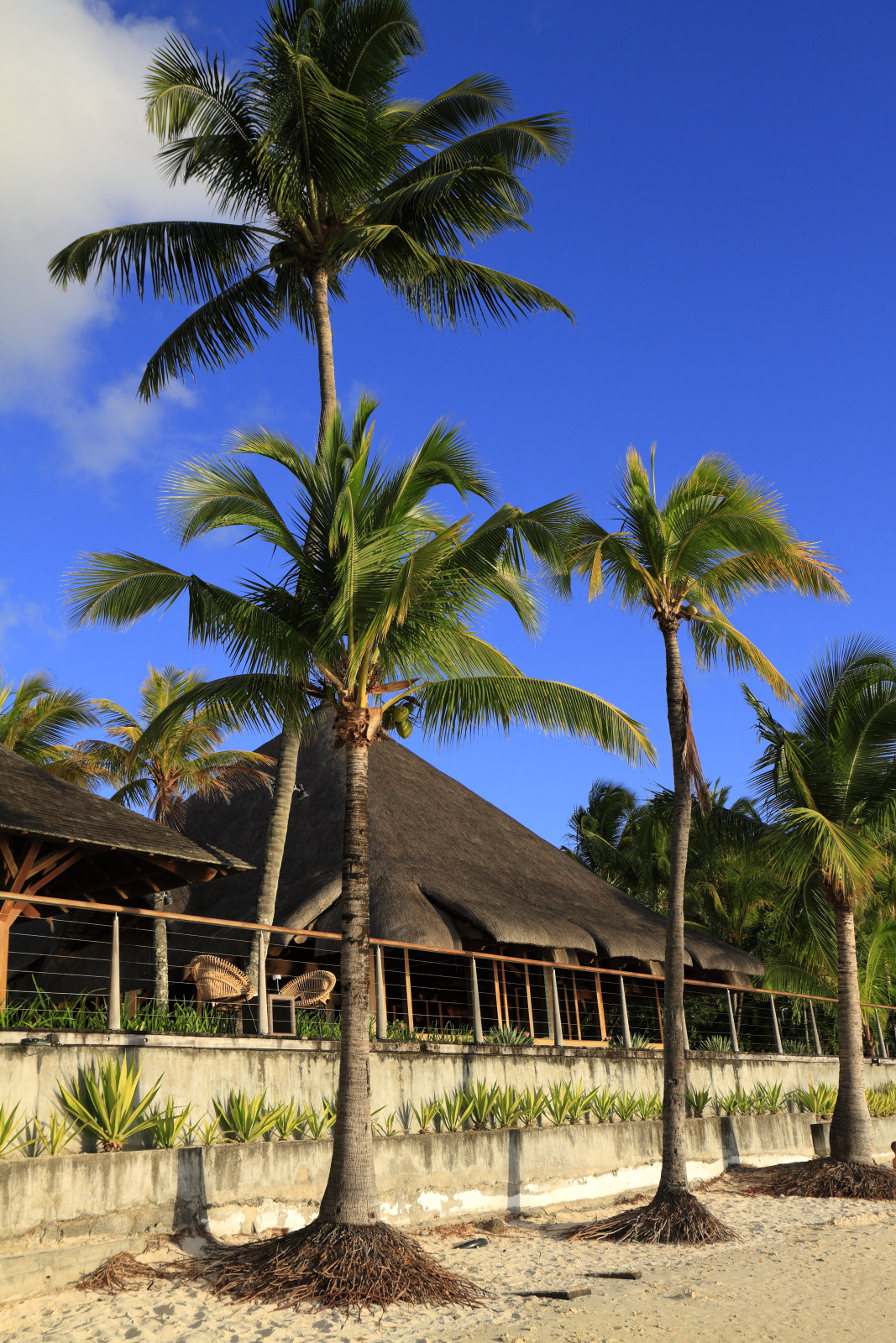 09.14 Mauritius  MG 6706