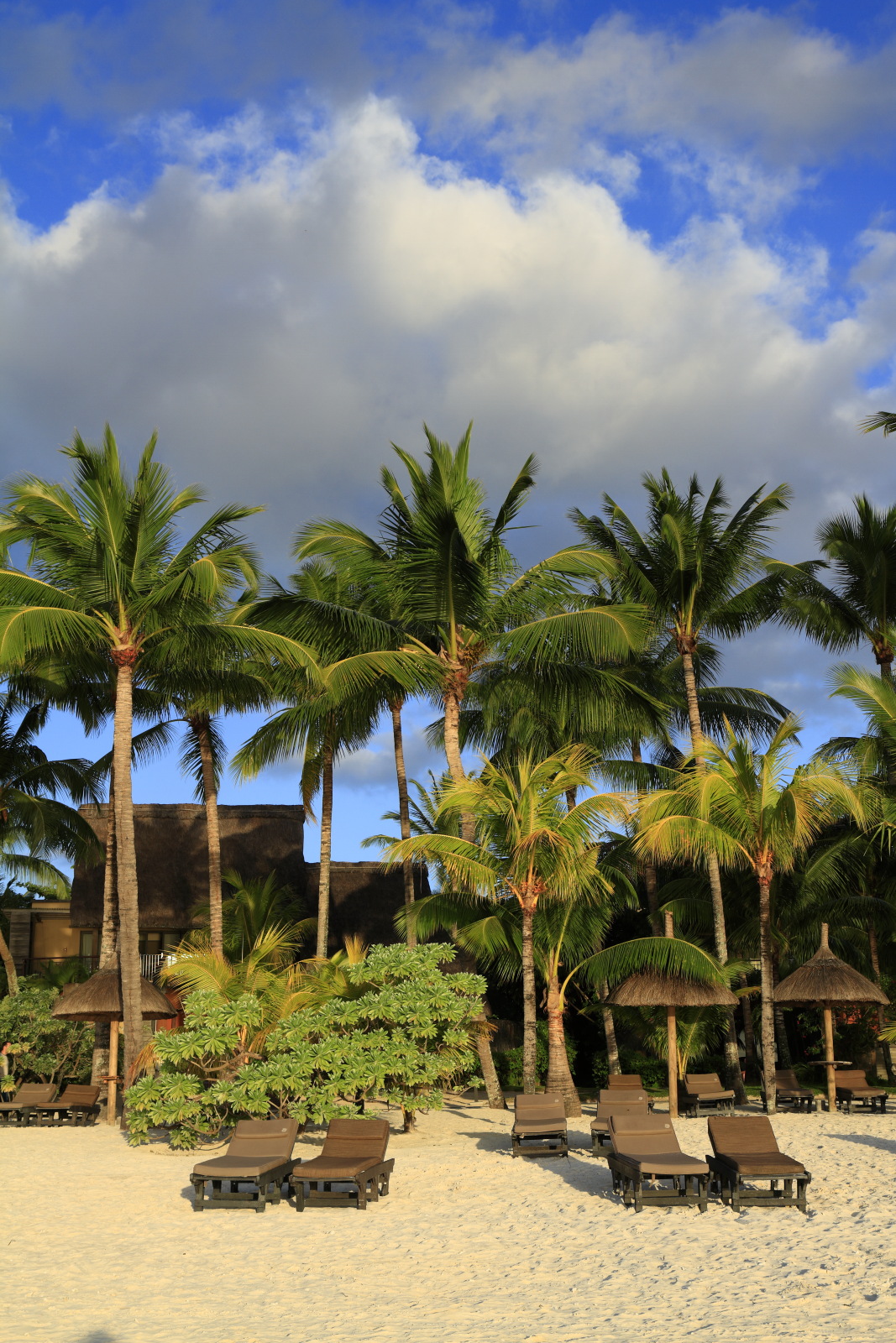 09.14 Mauritius  MG 6714