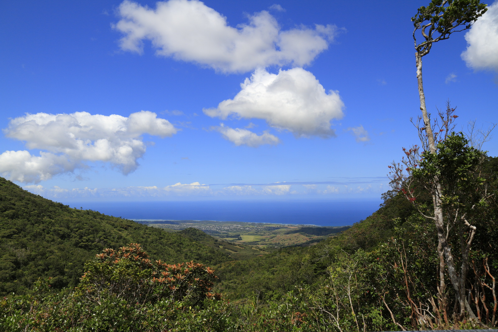 09.15 Mauritius  MG 6723