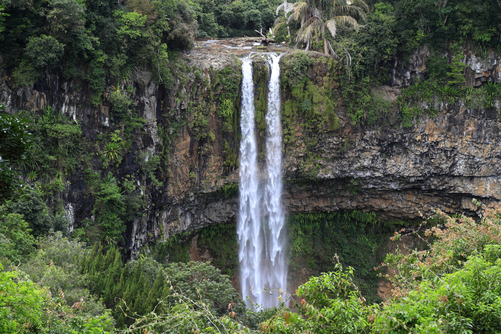 09.15 Mauritius  MG 6731