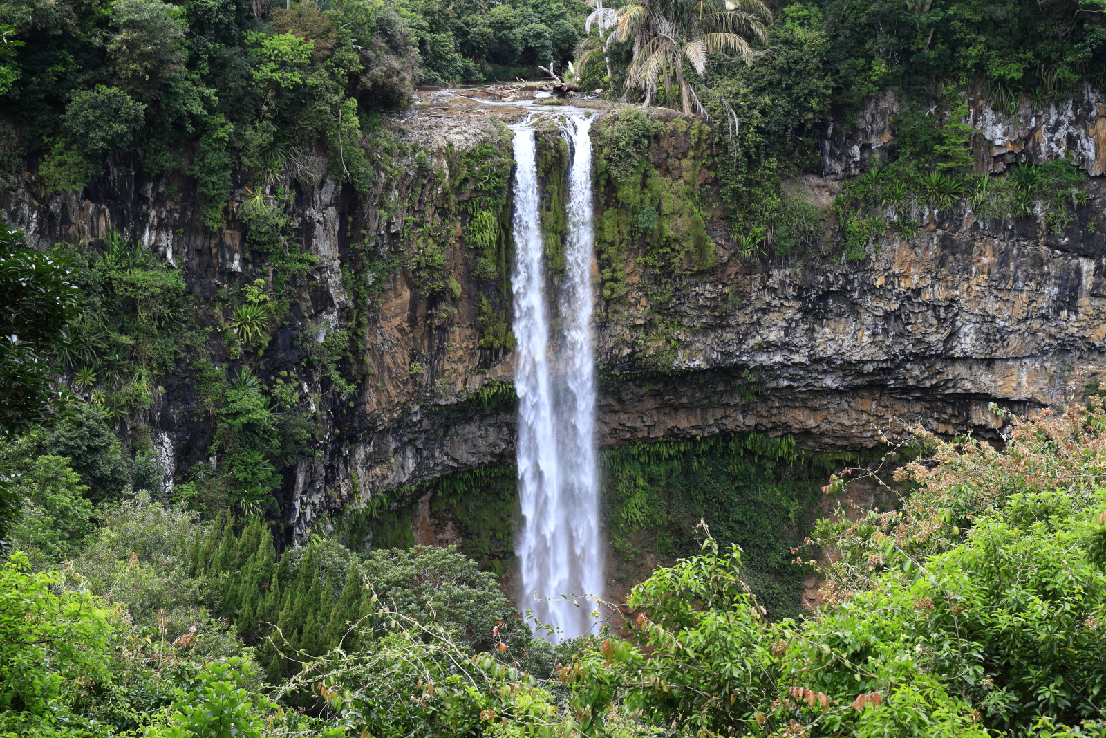 09.15 Mauritius  MG 6733