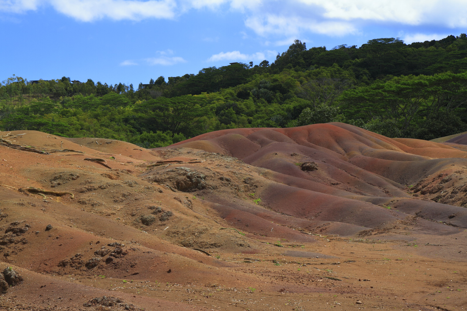 09.15 Mauritius  MG 6734