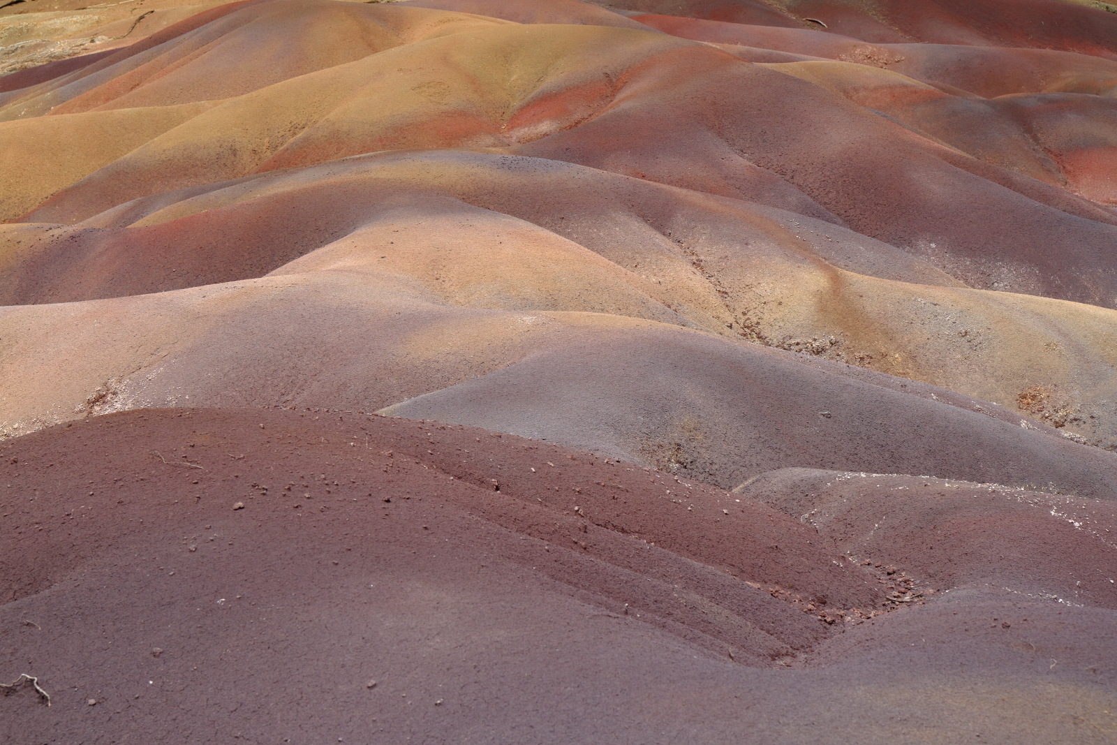 09.15 Mauritius  MG 6743