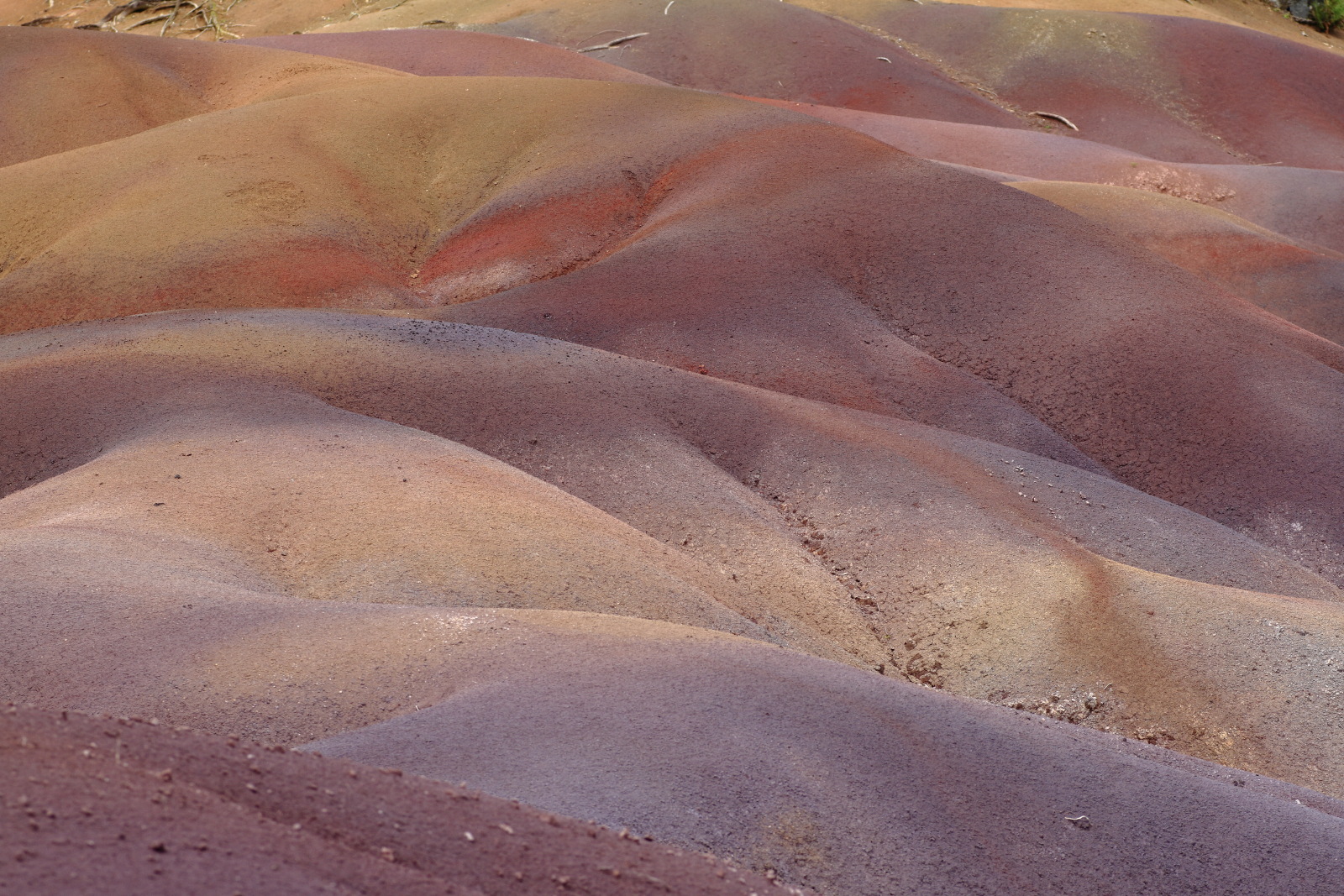 09.15 Mauritius  MG 6766