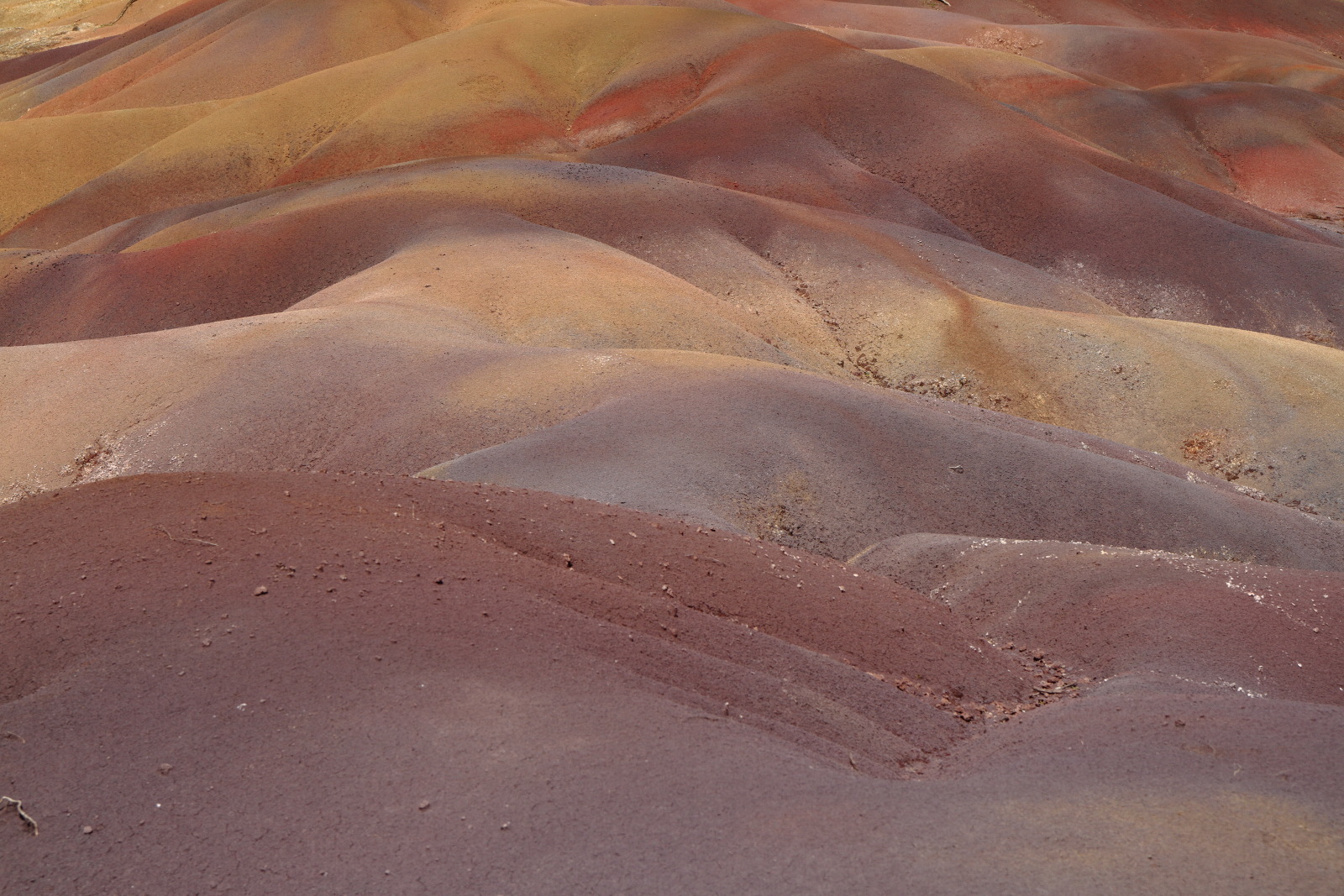 09.15 Mauritius  MG 6768