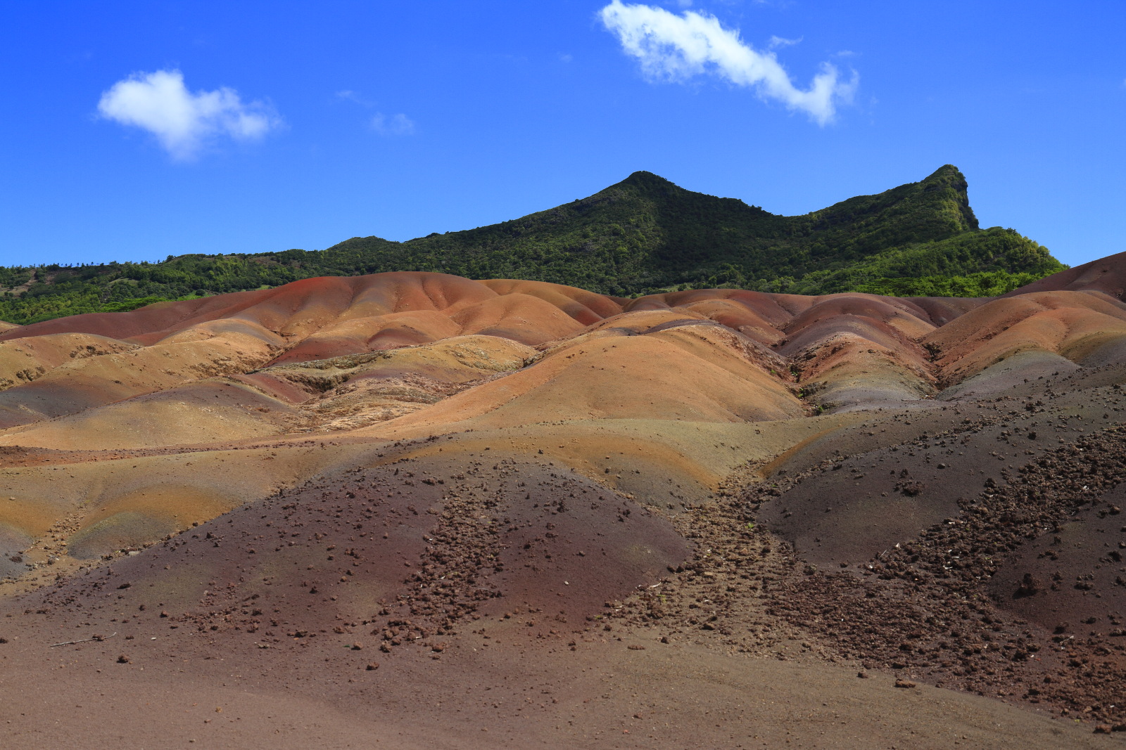 09.15 Mauritius  MG 6770