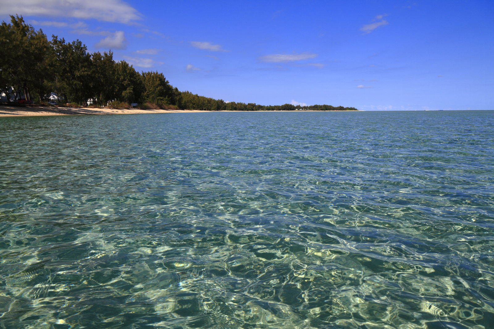 09.17 Mauritius  MG 6916