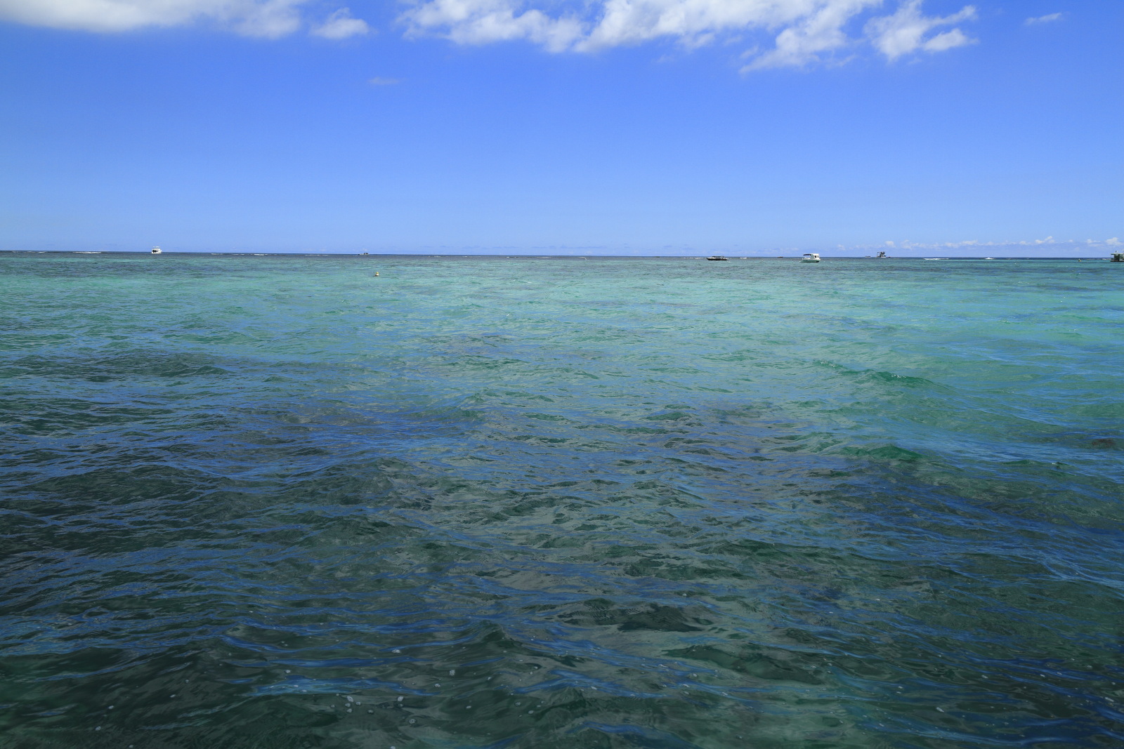 09.19 Mauritius  MG 6939