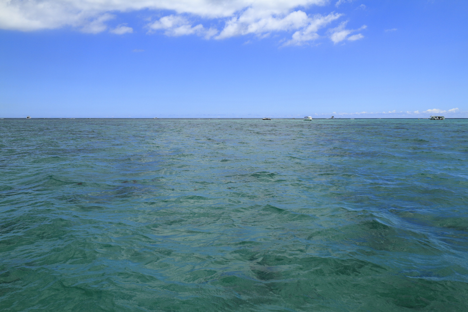 09.19 Mauritius  MG 6946