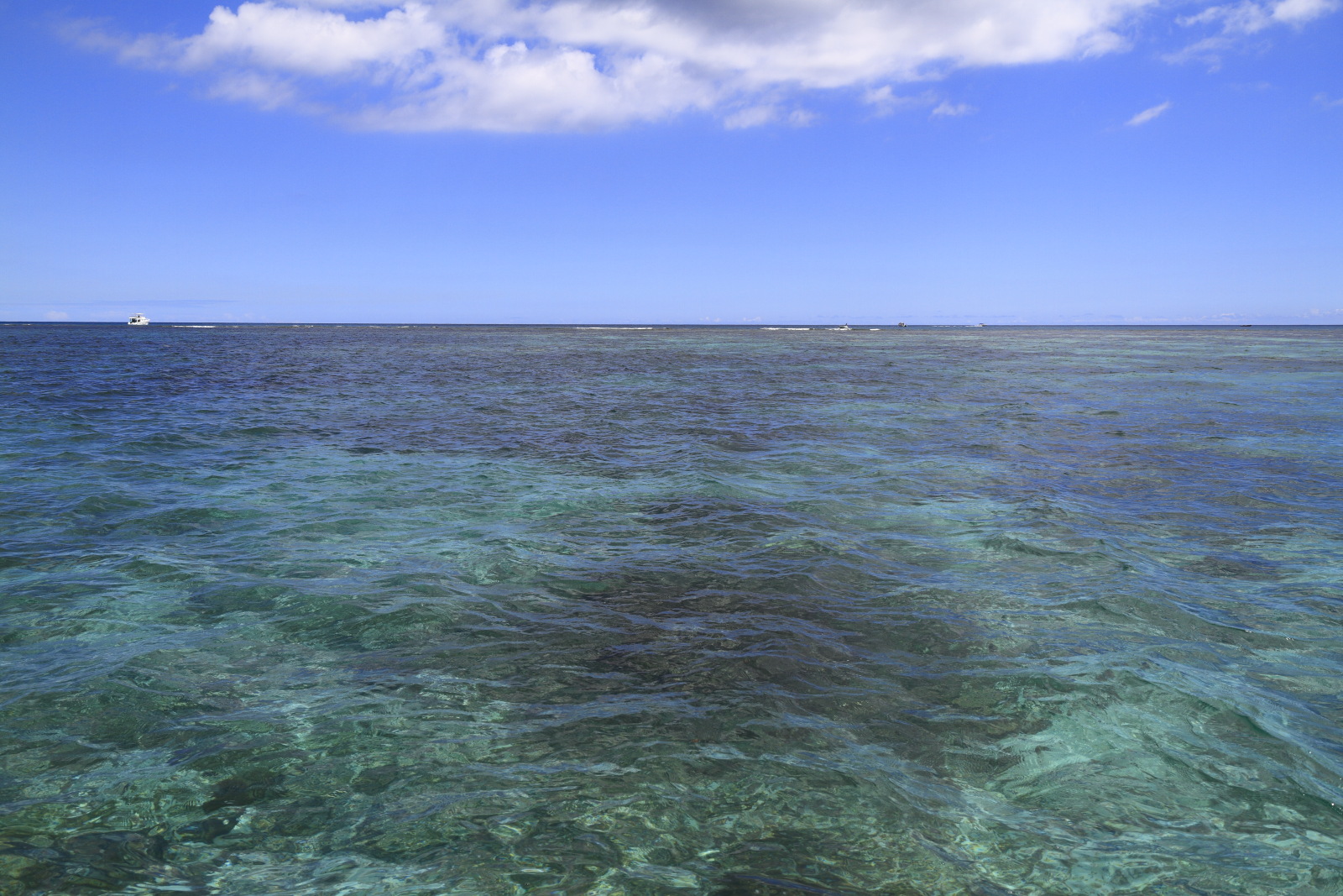 09.19 Mauritius  MG 6966