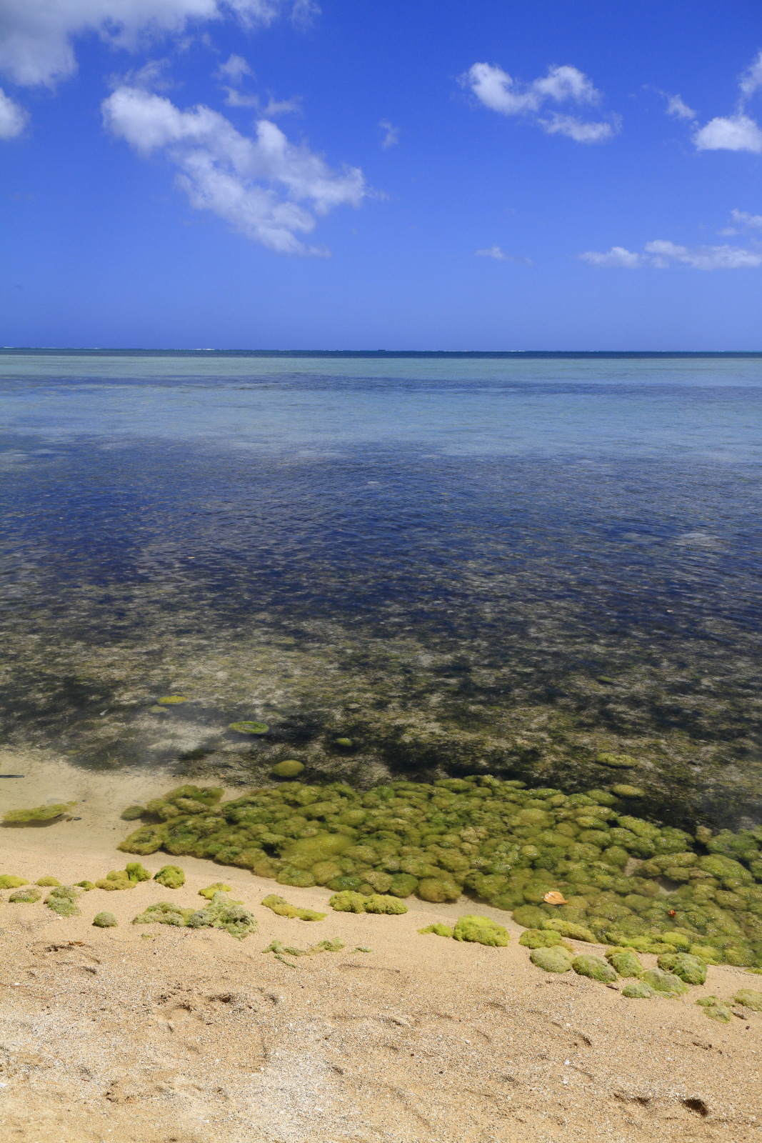 09.22 Mauritius  MG 7332