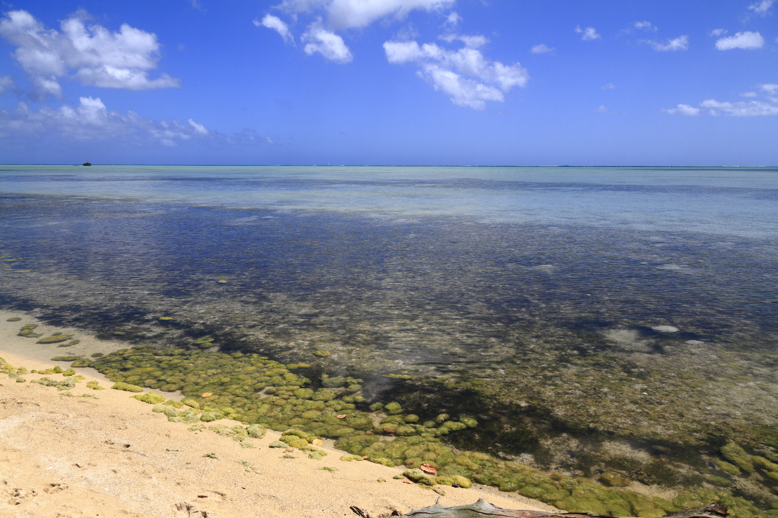 09.22 Mauritius  MG 7337