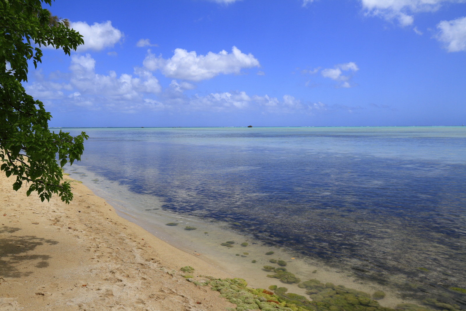 09.22 Mauritius  MG 7340