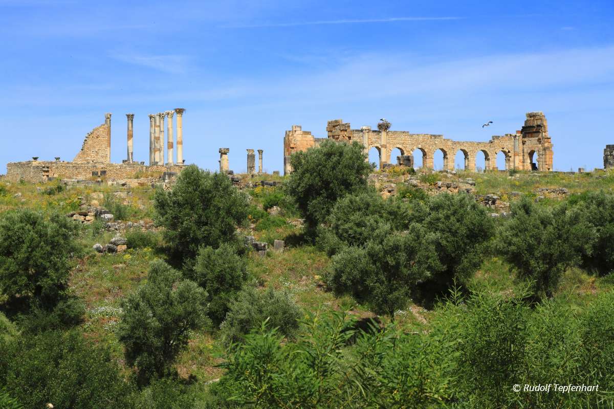 Volubilis