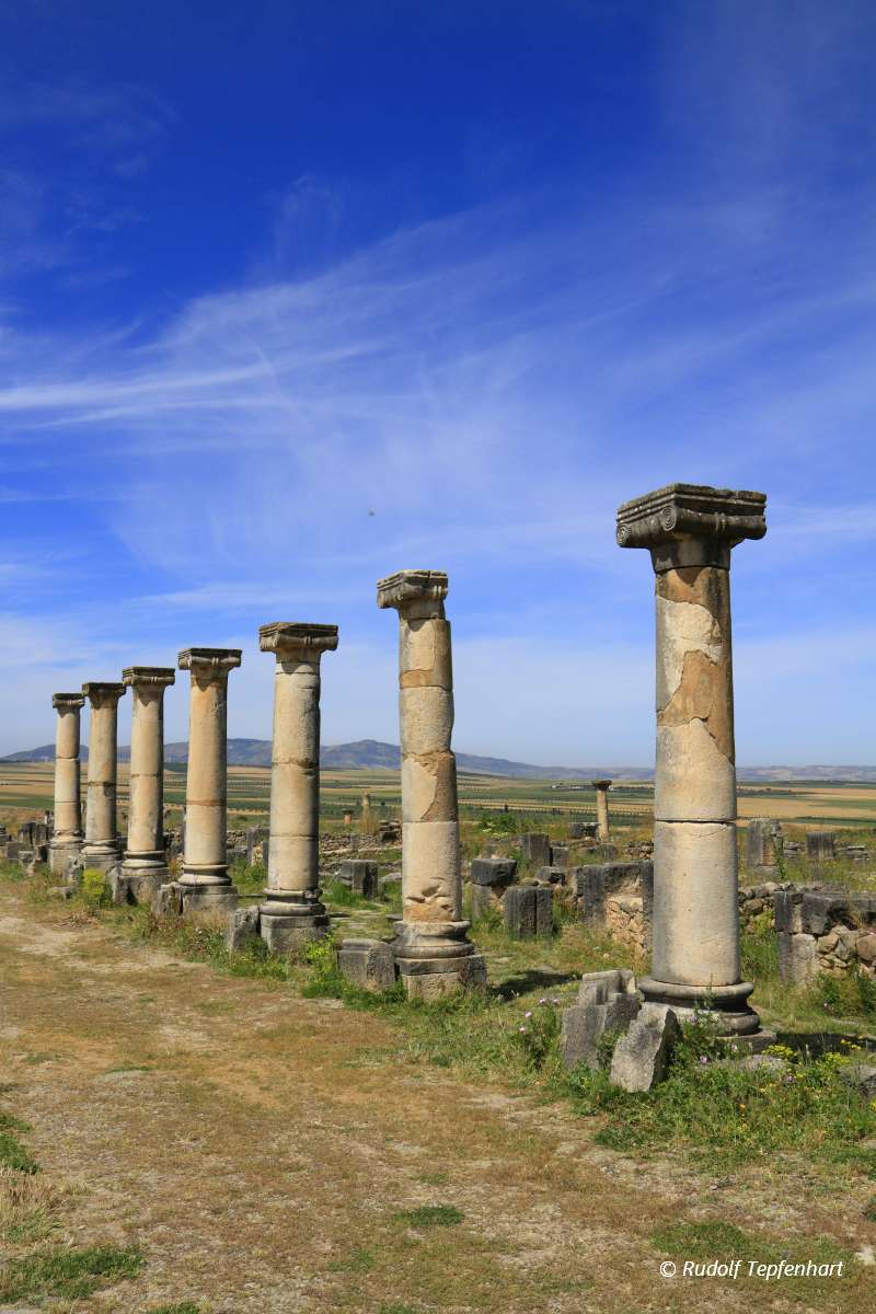 Volubilis