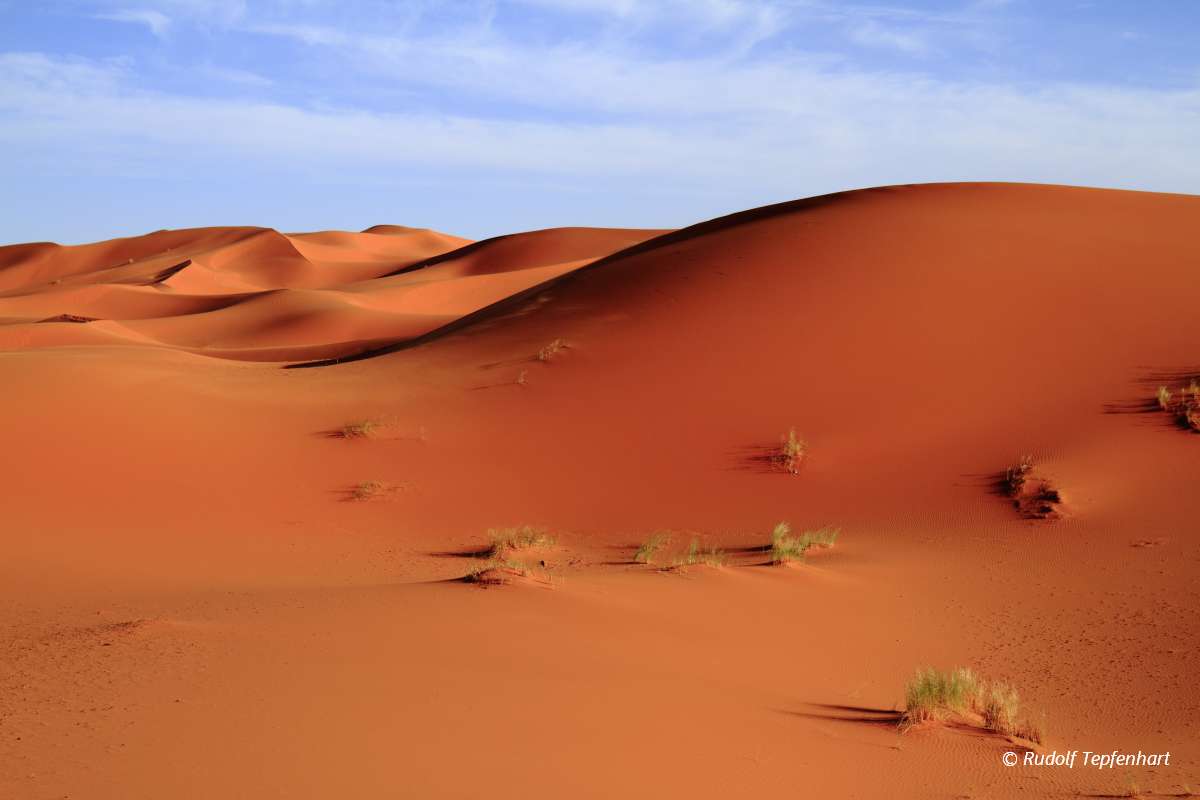 Erg Chebbi