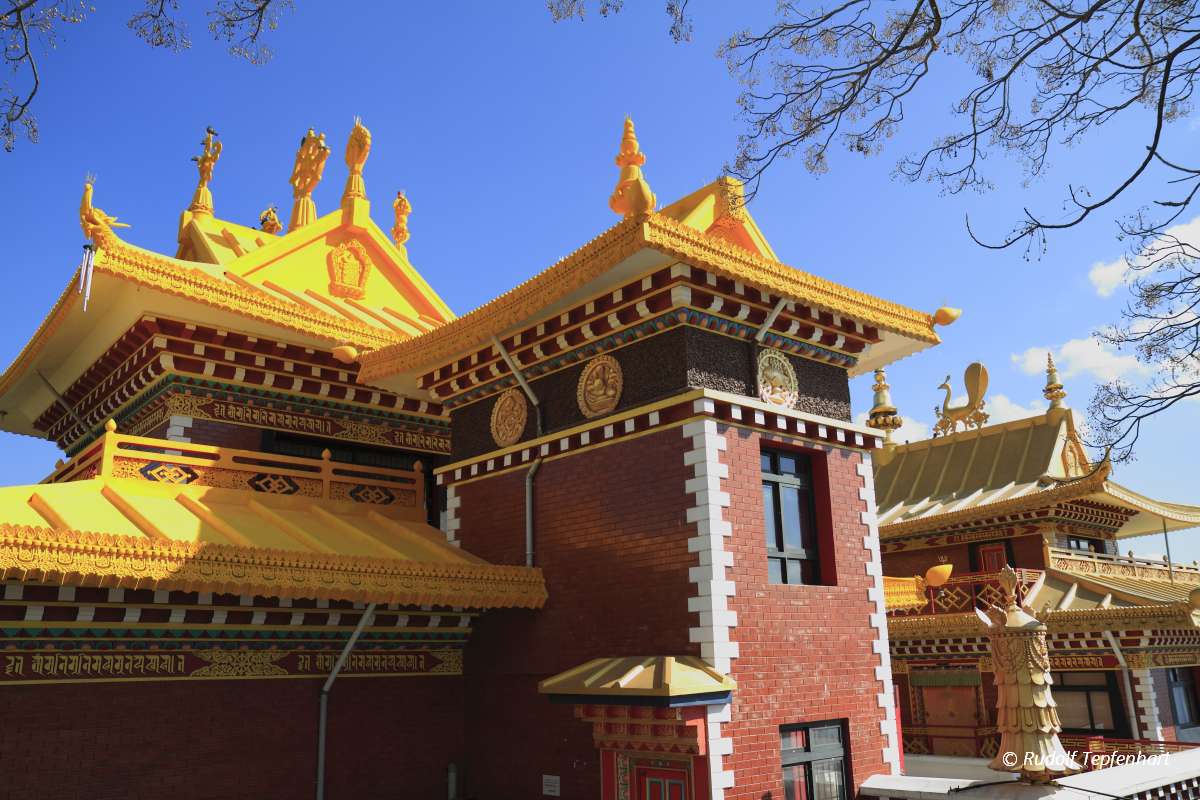 Thrangu Tashi Yangtse Moastery