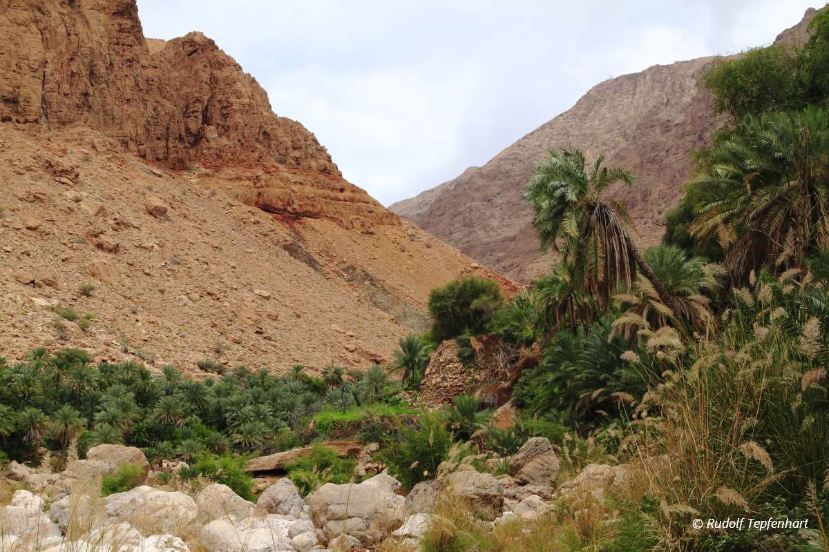 Wadi Tiwi