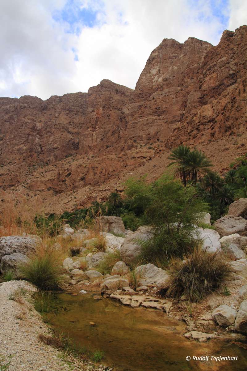 Wadi Tiwi