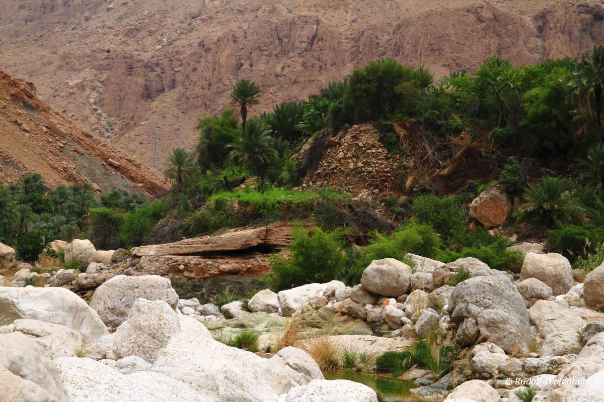 Wadi Tiwi