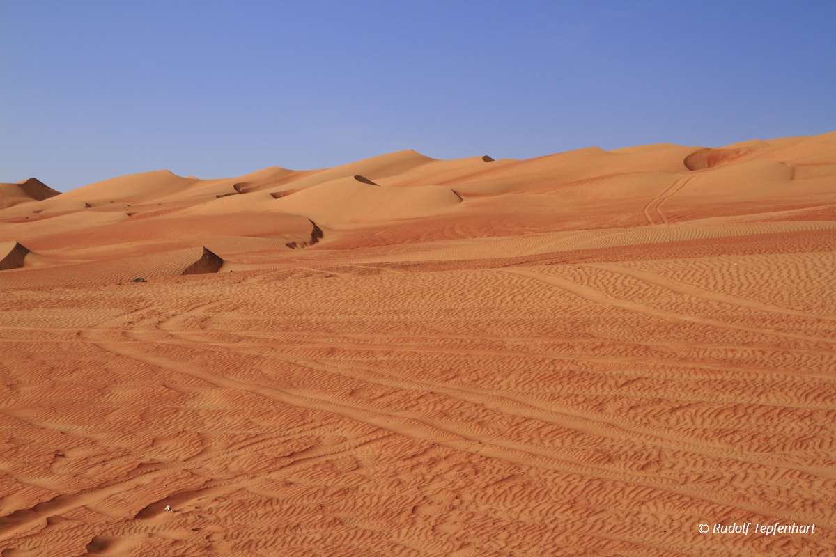 The Wahiba Sands