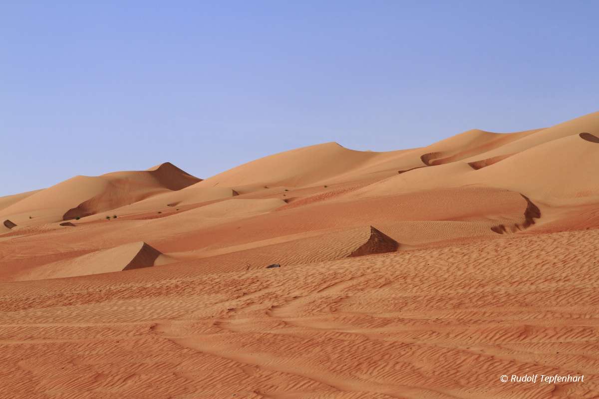The Wahiba Sands