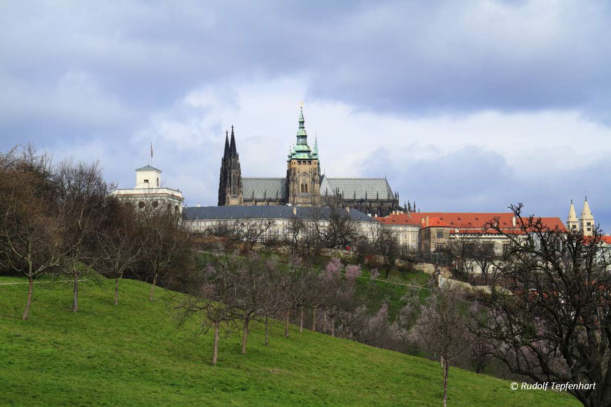 Prague Castle and Saint Vitus Cathedral