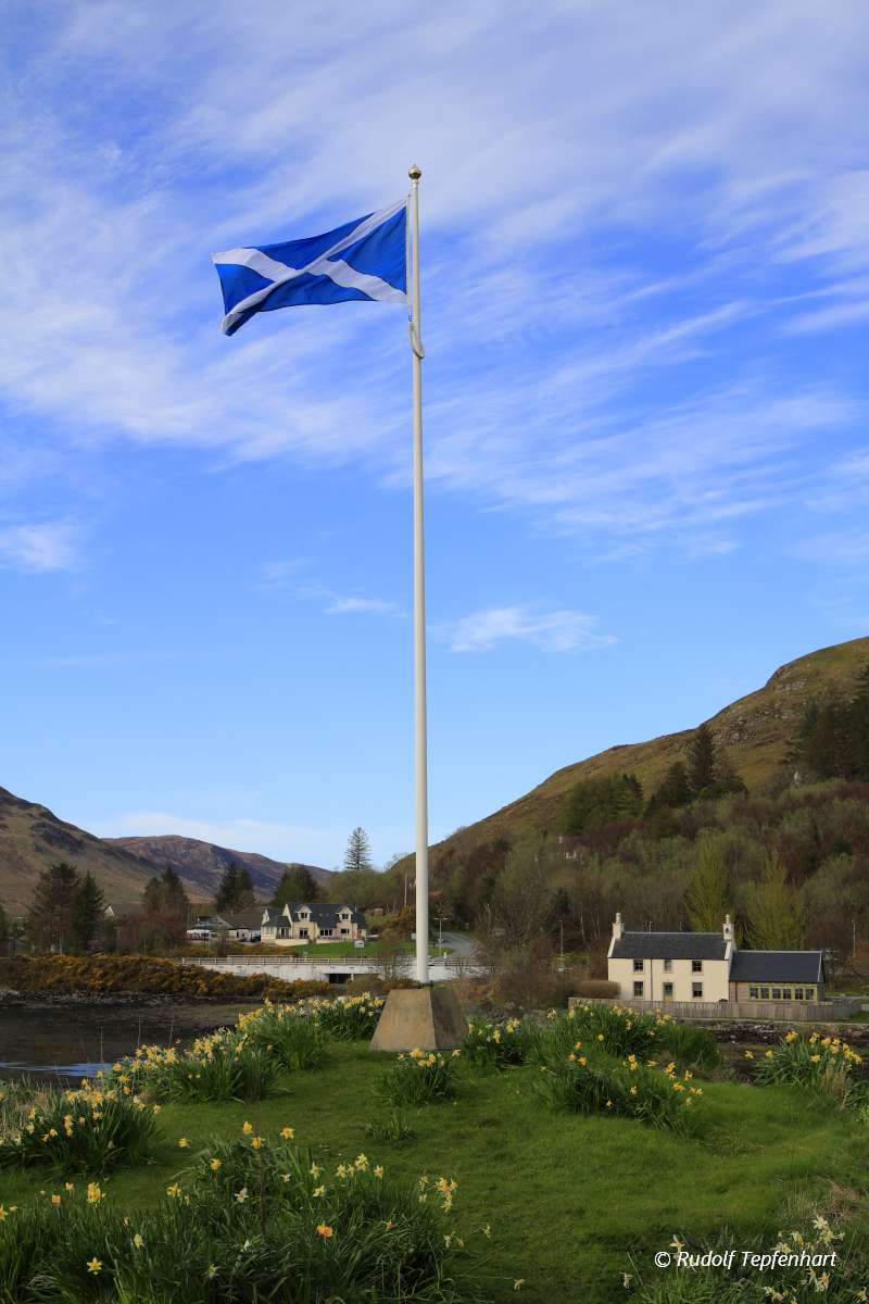 Flag of Scotland on the pol