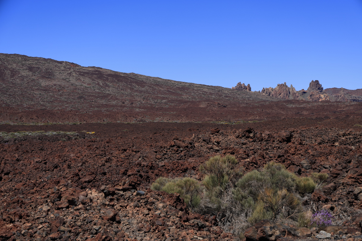 05.16 Teneriffa  08A0479