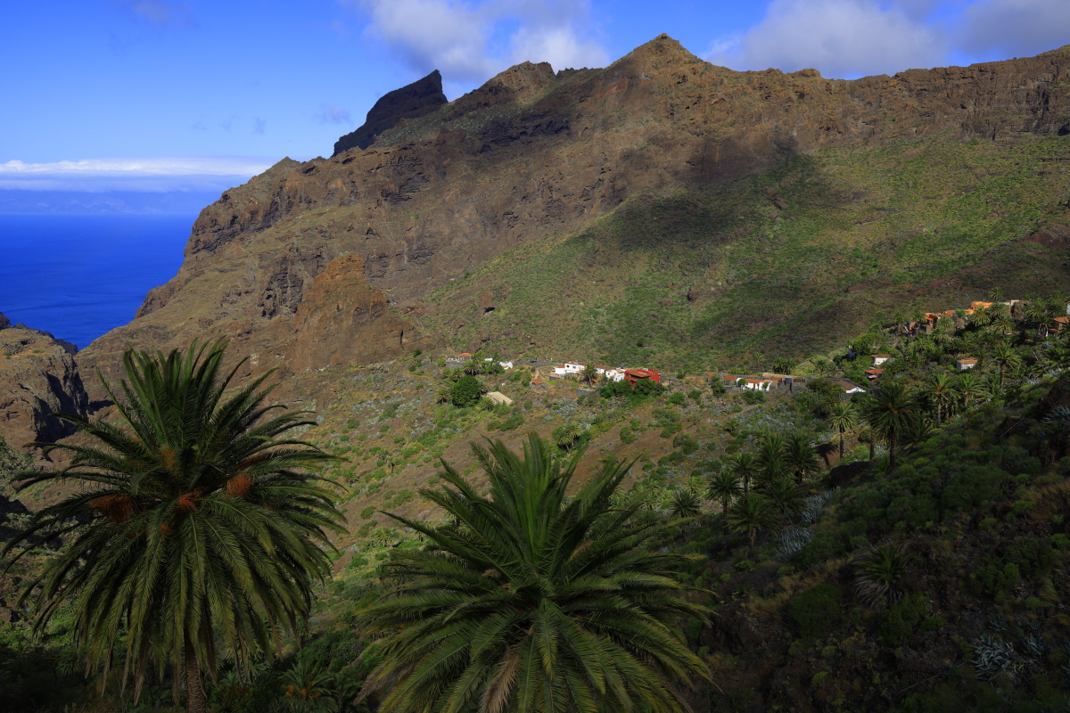 05.17 Teneriffa  08A0491