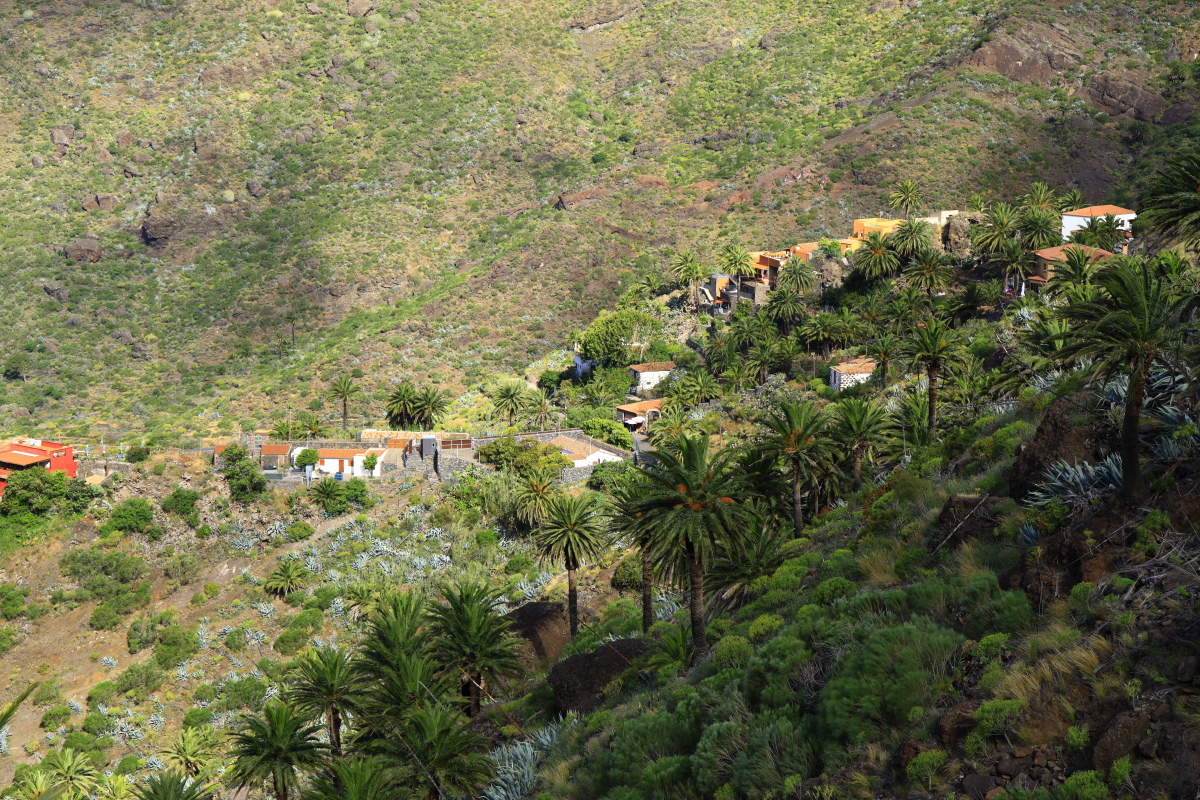 05.17 Teneriffa  08A0492
