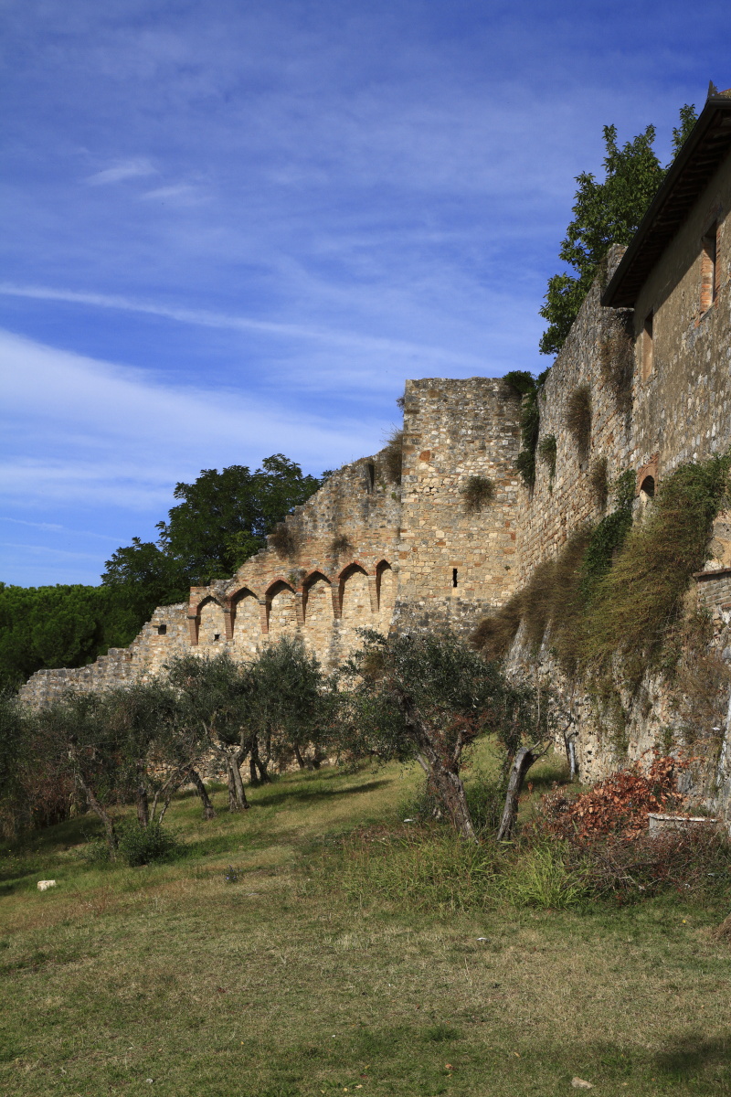 10.05 Toskana  MG 4192