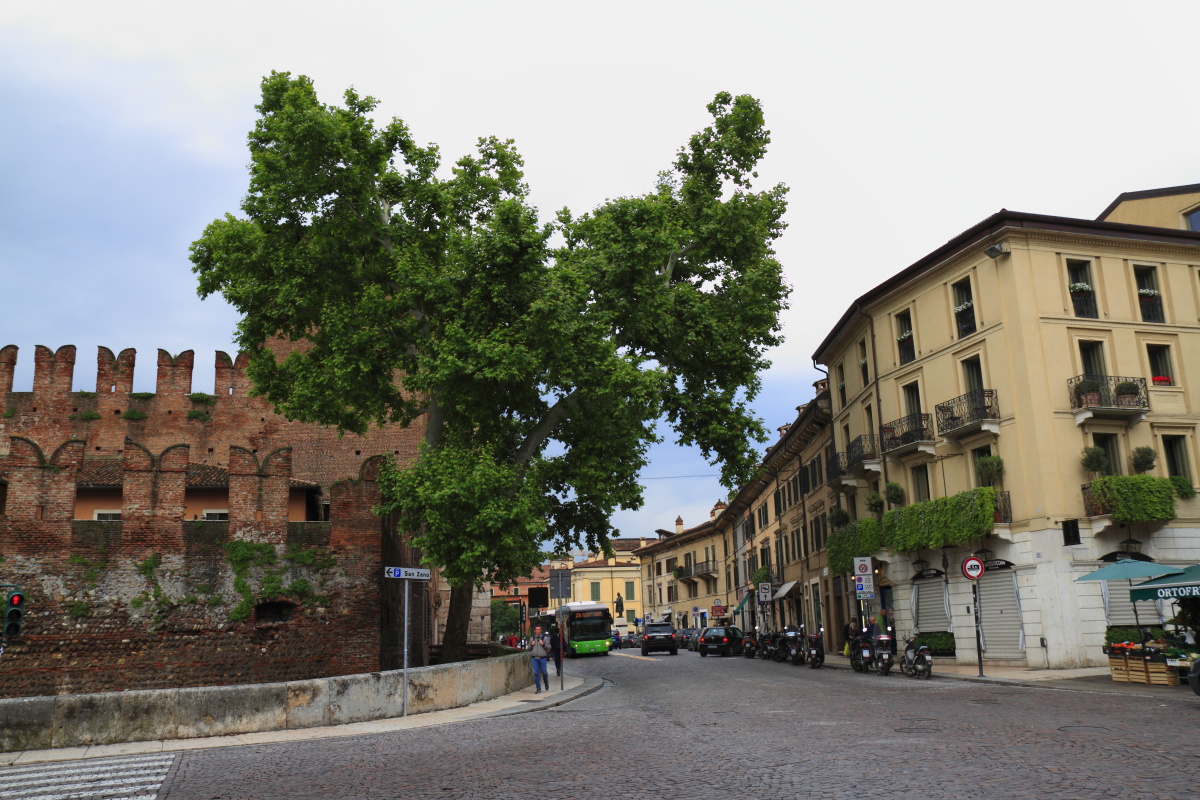 05.30 Verona  MG 7303