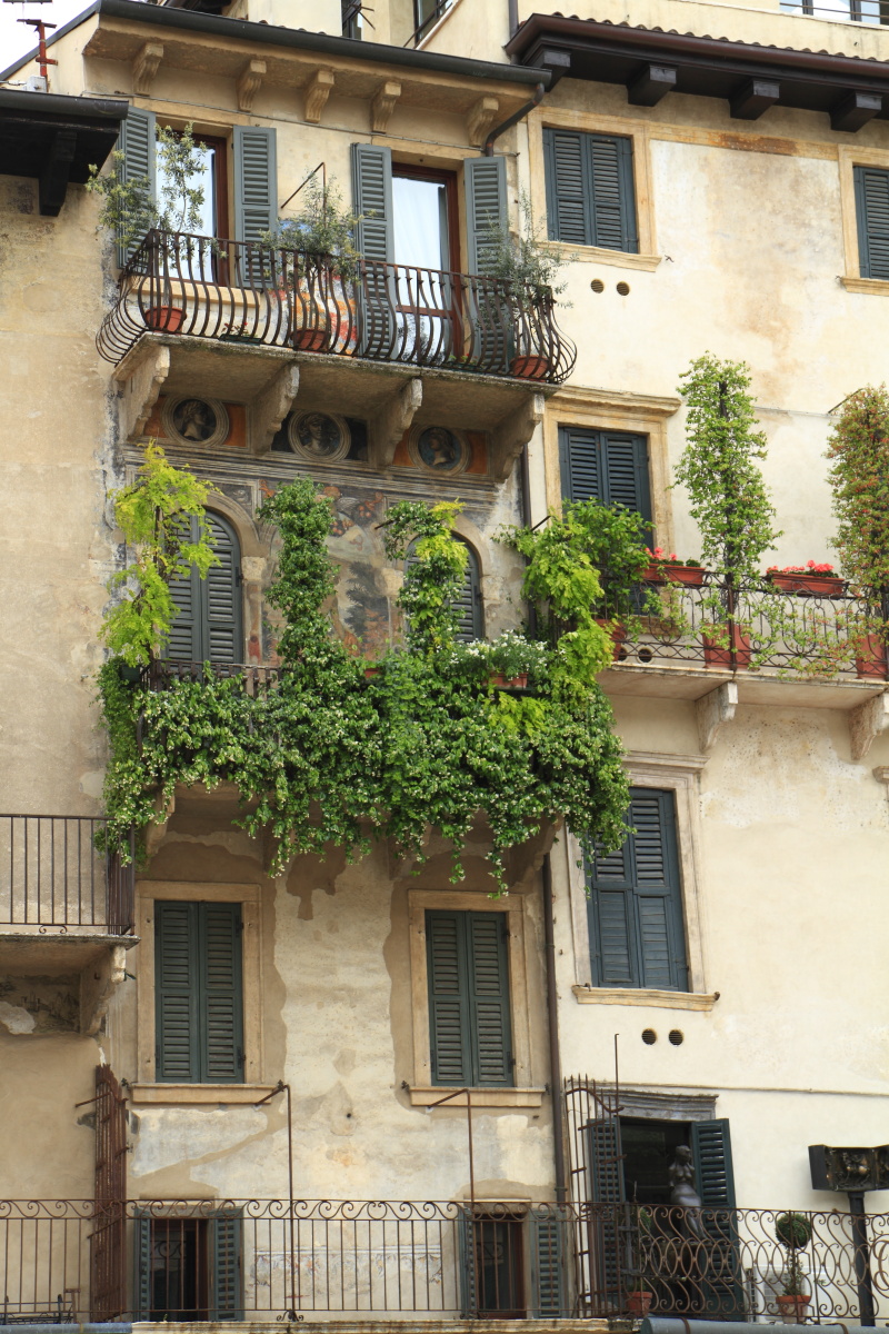 06.01 Verona  MG 7518